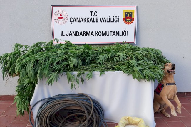 Biga’da uyuşturucu operasyonu 