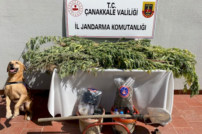 Uyuşturucu operasyonu; 1 gözaltı 