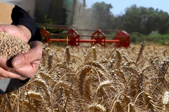 Çiftçilere tarımsal destek ödemesi (12.10.2022)