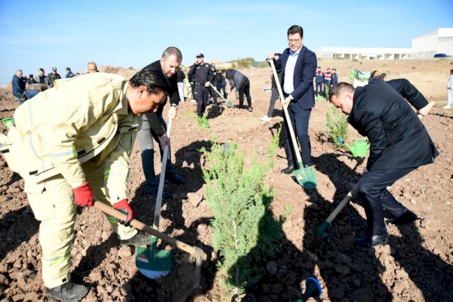 Yemyeşil bir OSB için anlamlı etkinlik