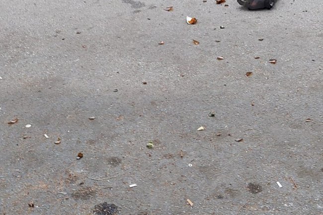 “Yetkililer duruma el atmalı” (16.11.2022)