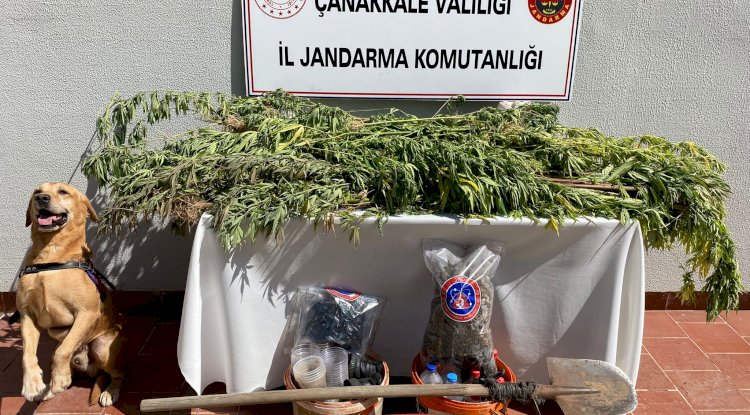 Uyuşturucu operasyonu; 1 gözaltı 