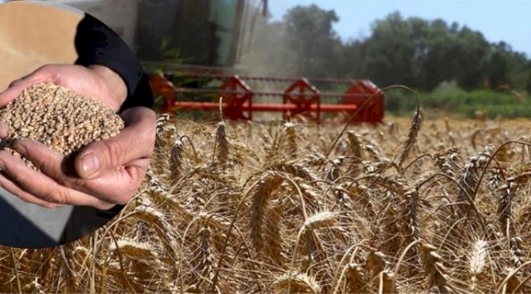 Çiftçilere tarımsal destek ödemesi (12.10.2022)