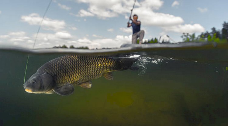 BALIK AVCILIĞINDA YASAKLAR BAŞLADI