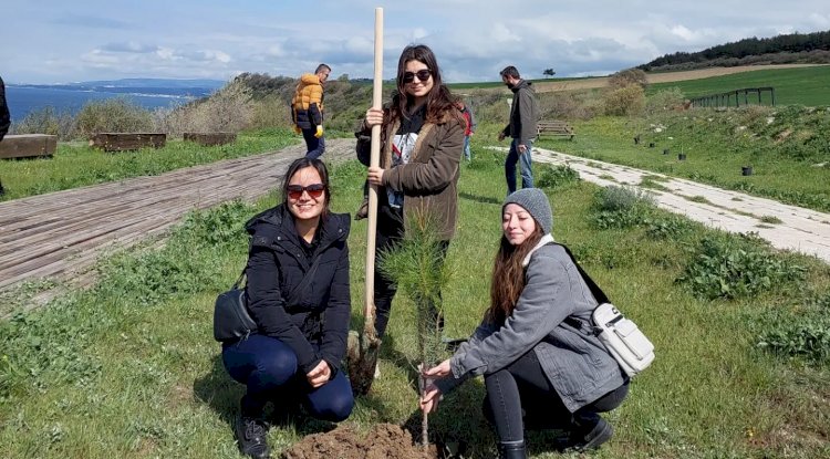 Afette Kaybettikleri Meslektaşları Adına Çam ve Akasya Ağacı Diktiler