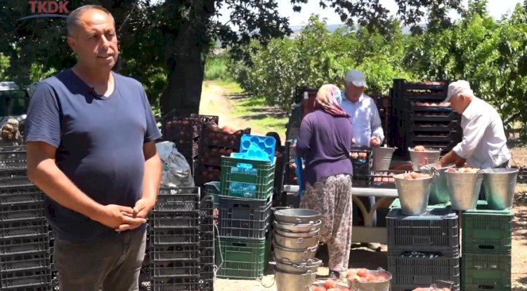 Lapsekili yatırımcını projesi desteklendi