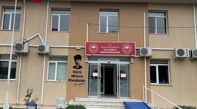 İtalyan çim tohumu dağıtımları sürüyor