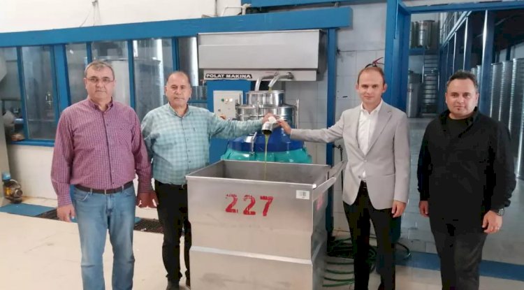 Zeytinyağı üretimini yerinde inceledi