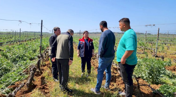 Türkarslan, tarım alanlarını inceledi