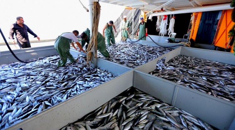 Av yasağı başladı
