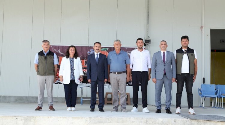 İşletmelere hibe desteği sürüyor