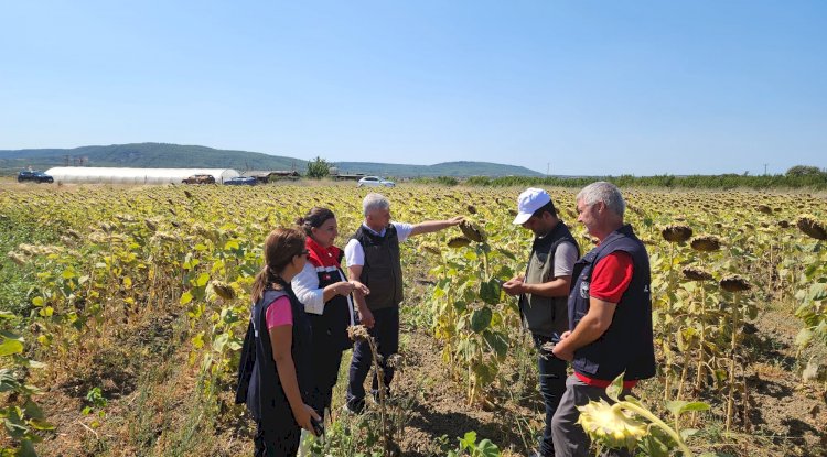 Tarımda yerli ve milli hamle