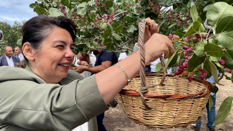 İskenderoğlu’ndan Şahin’e davet (07.09.2022)