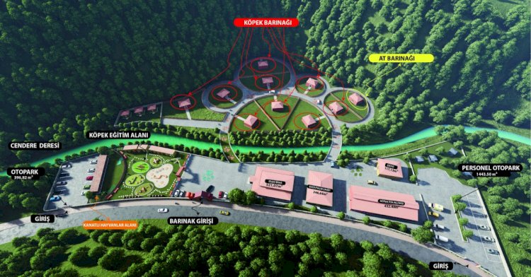 EYÜPSULTAN BELEDİYESİ’NDEN ÖRNEK PROJE  BAŞIBOŞ HAYVANLAR İÇİN BARINAK PROJESİ HAZIR