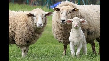 Üreticilerin dikkatine!