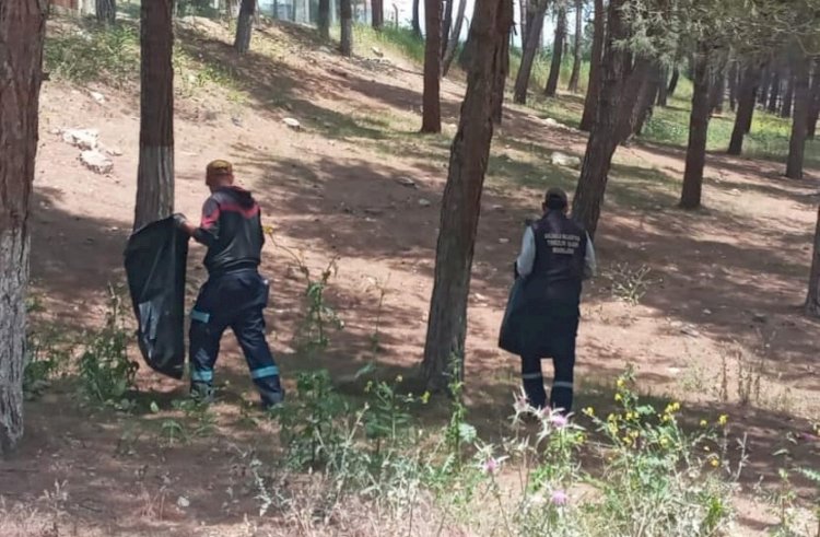 Piknik Alanları Temizlendi