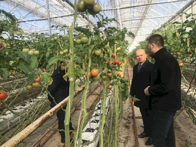 Serada üretimi yerinde inceledi