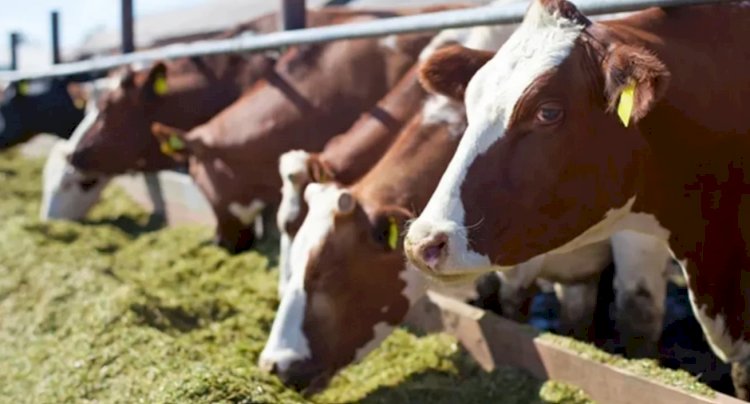 ÜRETİCİLERE DUYURU