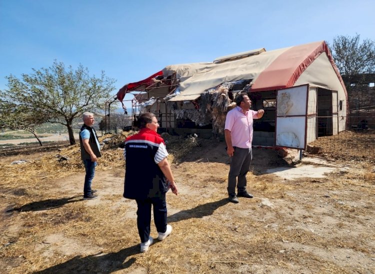 Türkarslan yangın bölgesindeydi