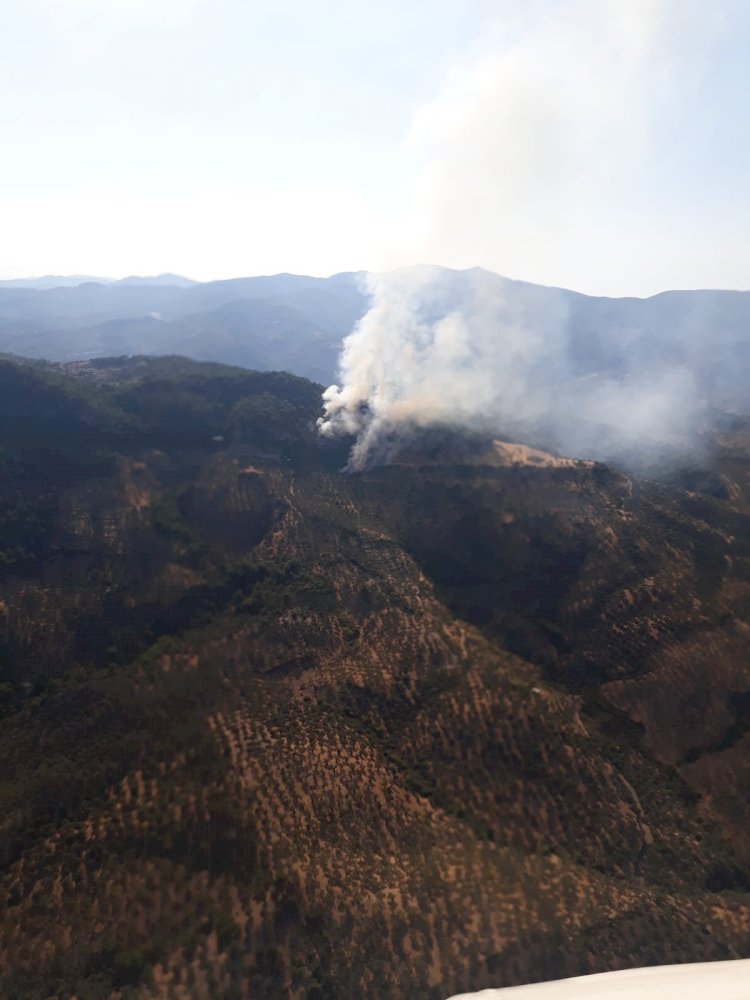 Orman Yangını Kontrol Altına Alındı