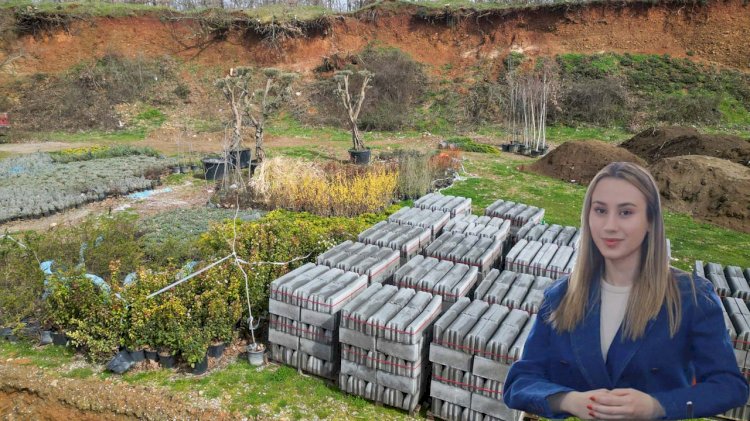 Kalkım’da Olukpınar Göleti Çevresine Yeni Mesire Alanı Yapılıyor